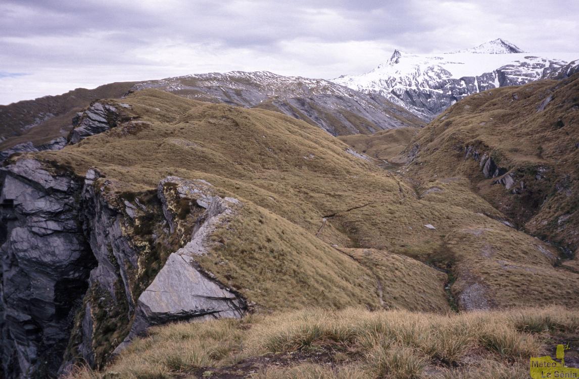 NZ 0471