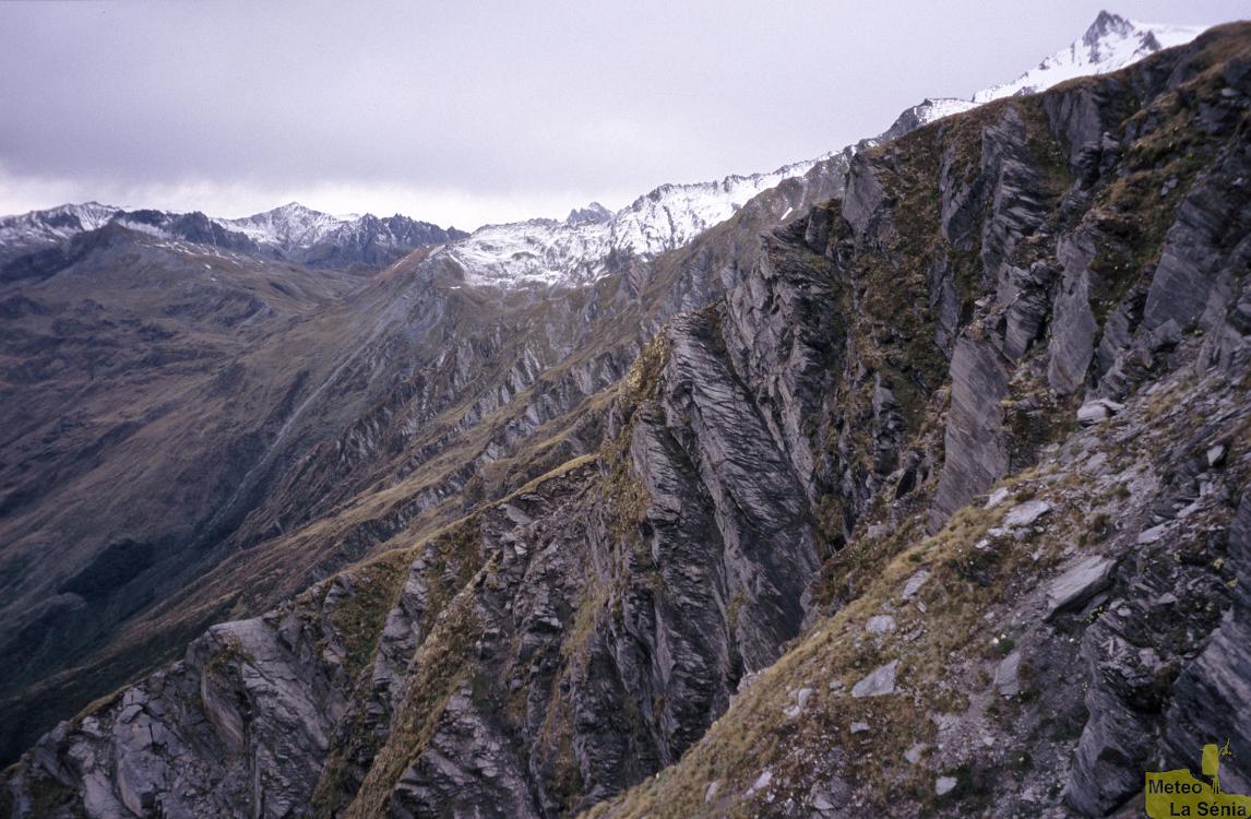 NZ 0480
