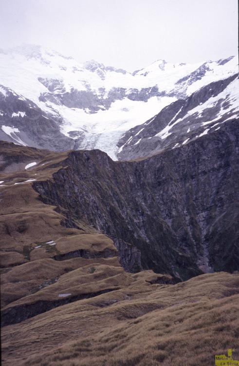 NZ 0483
