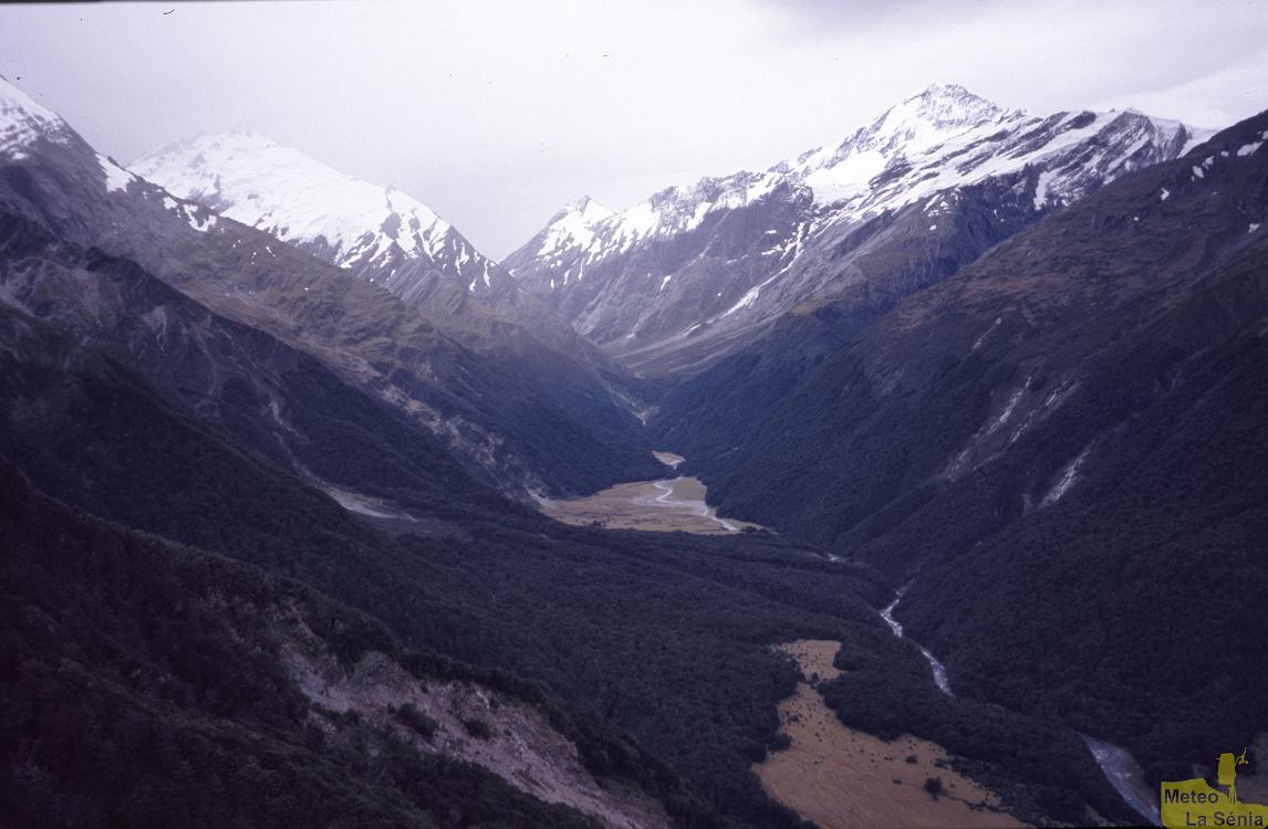 NZ 0496