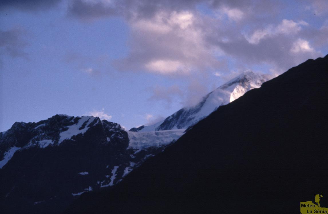 NZ 0499