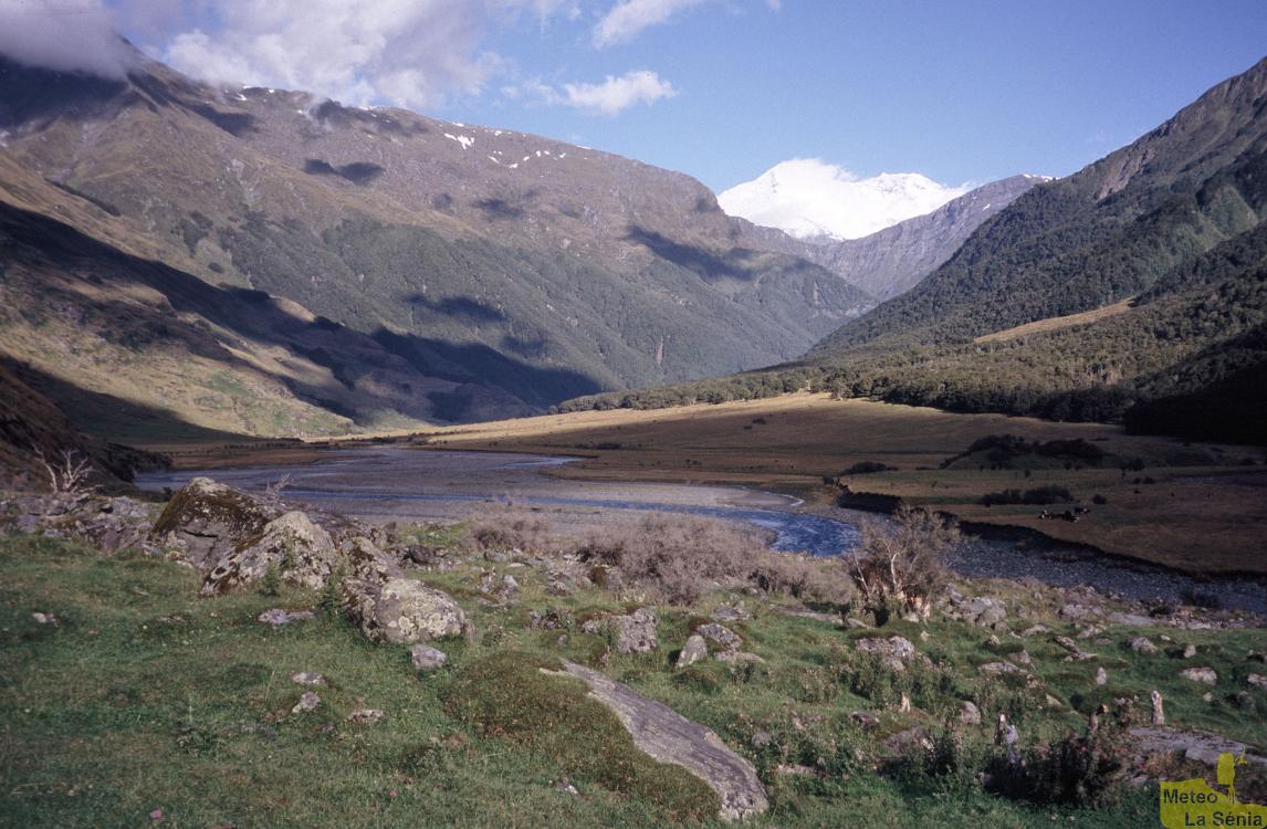 NZ 0505