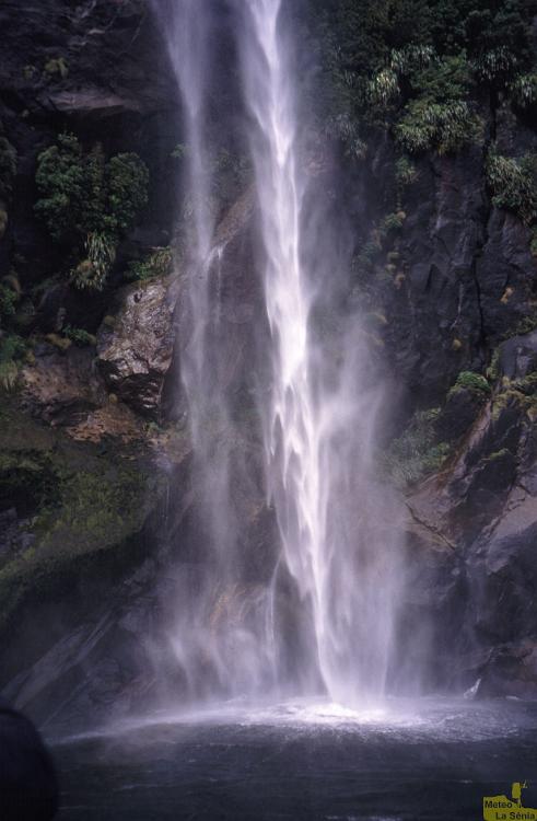 NZ 0531