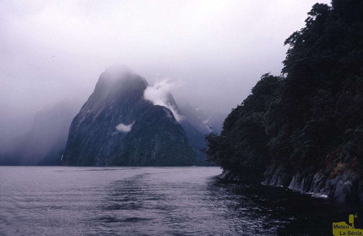NZ 0557
