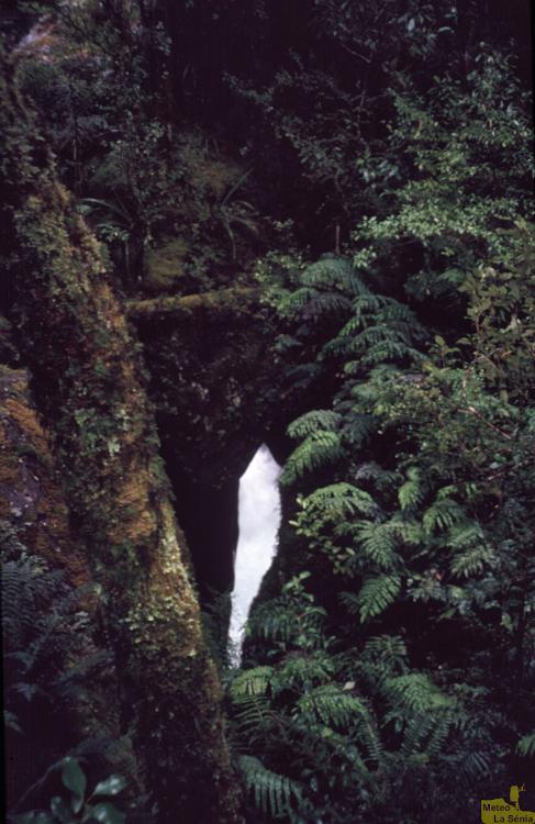 NZ 0571