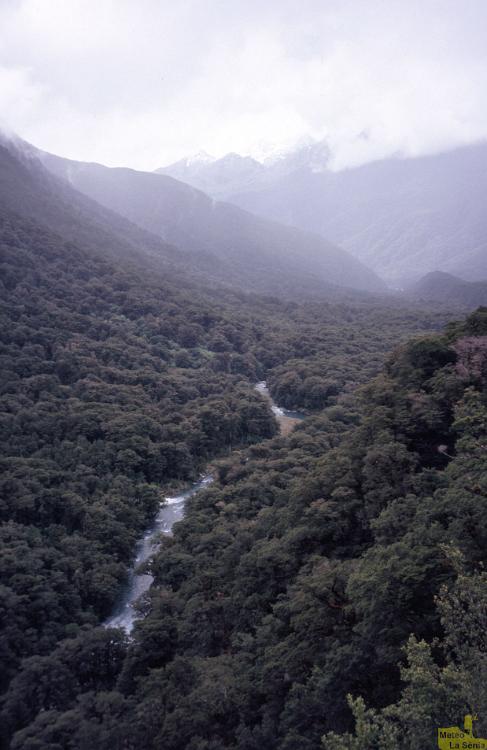 NZ 0576
