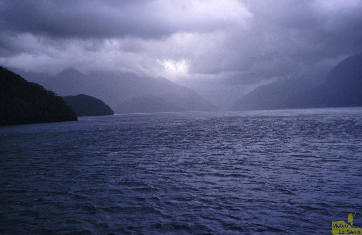 NZ 0589