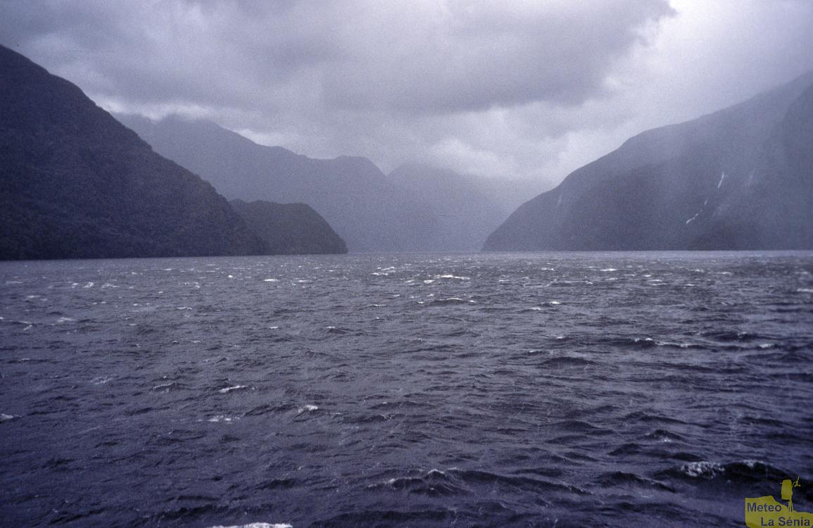 NZ 0593
