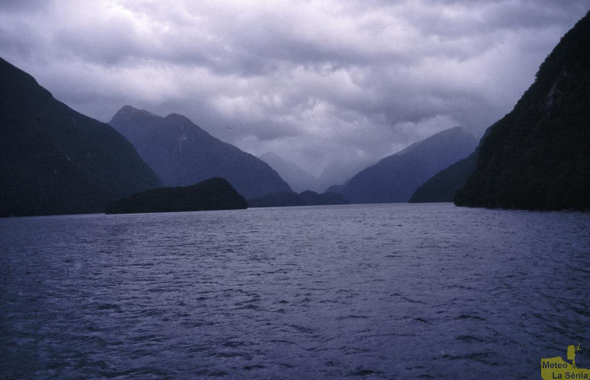 NZ 0602