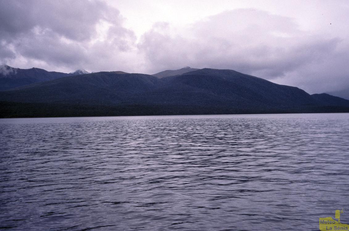NZ 0608