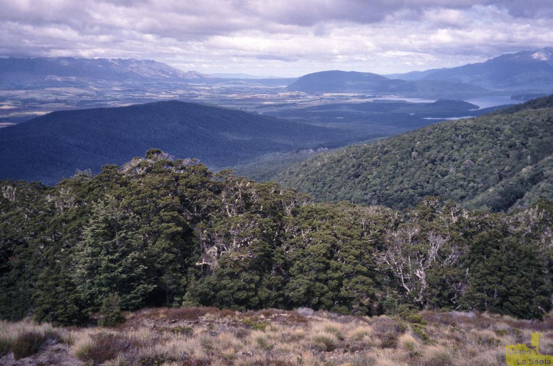 NZ 0620