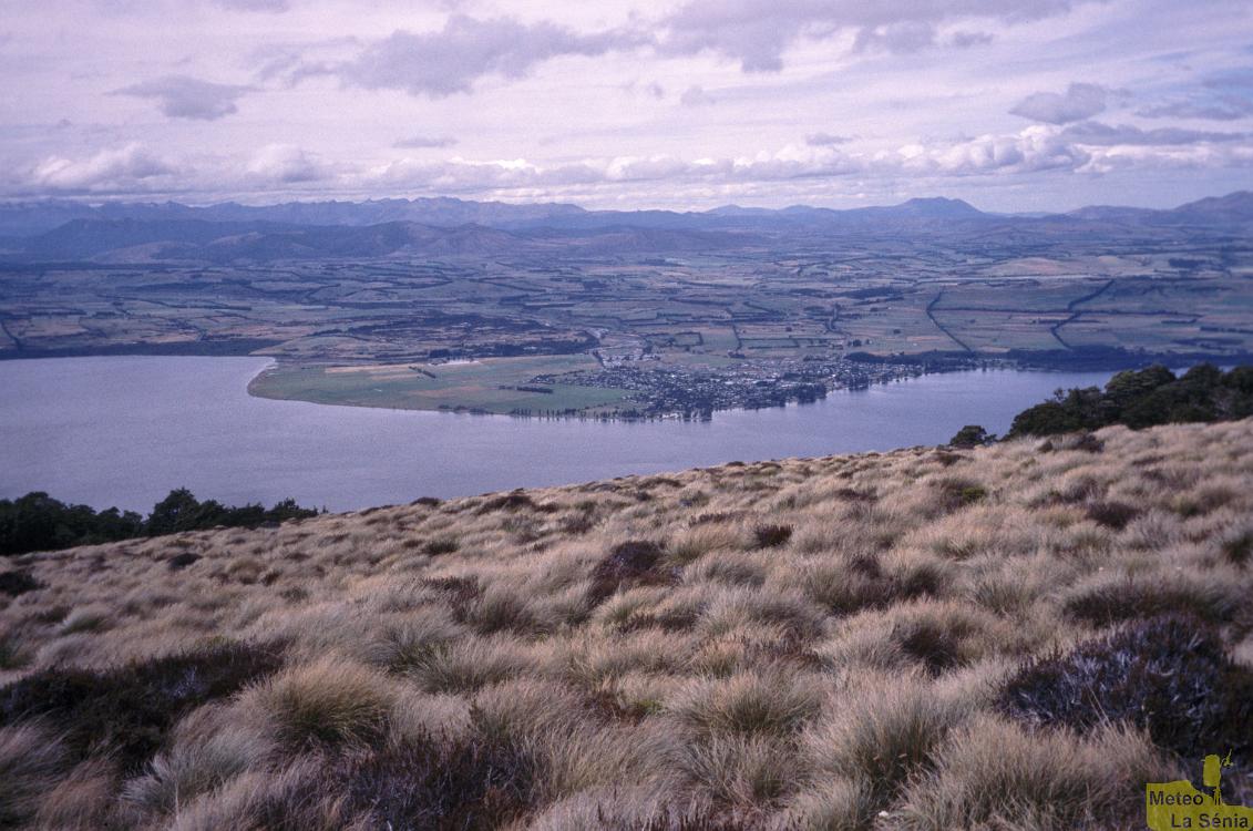 NZ 0622