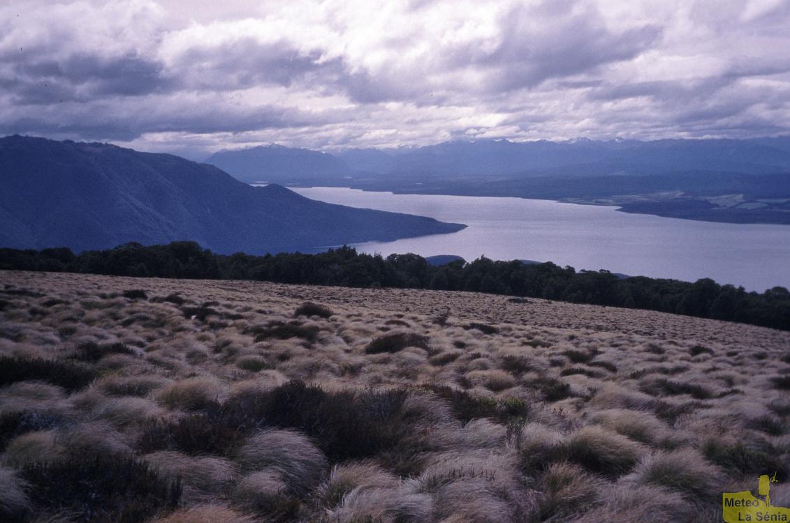 NZ 0624