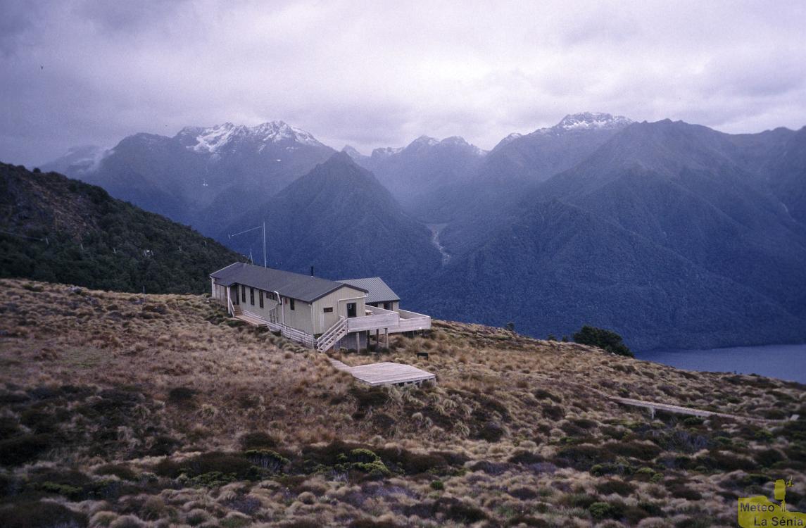 NZ 0644
