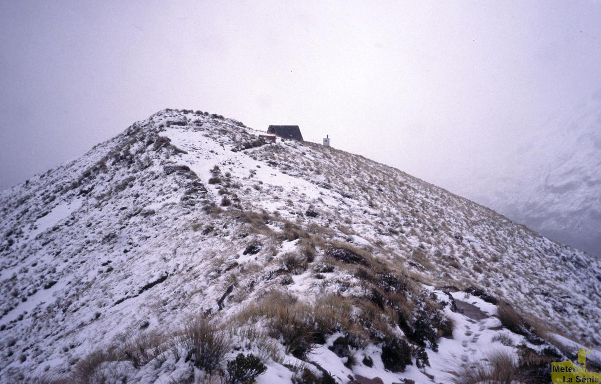 NZ 0654