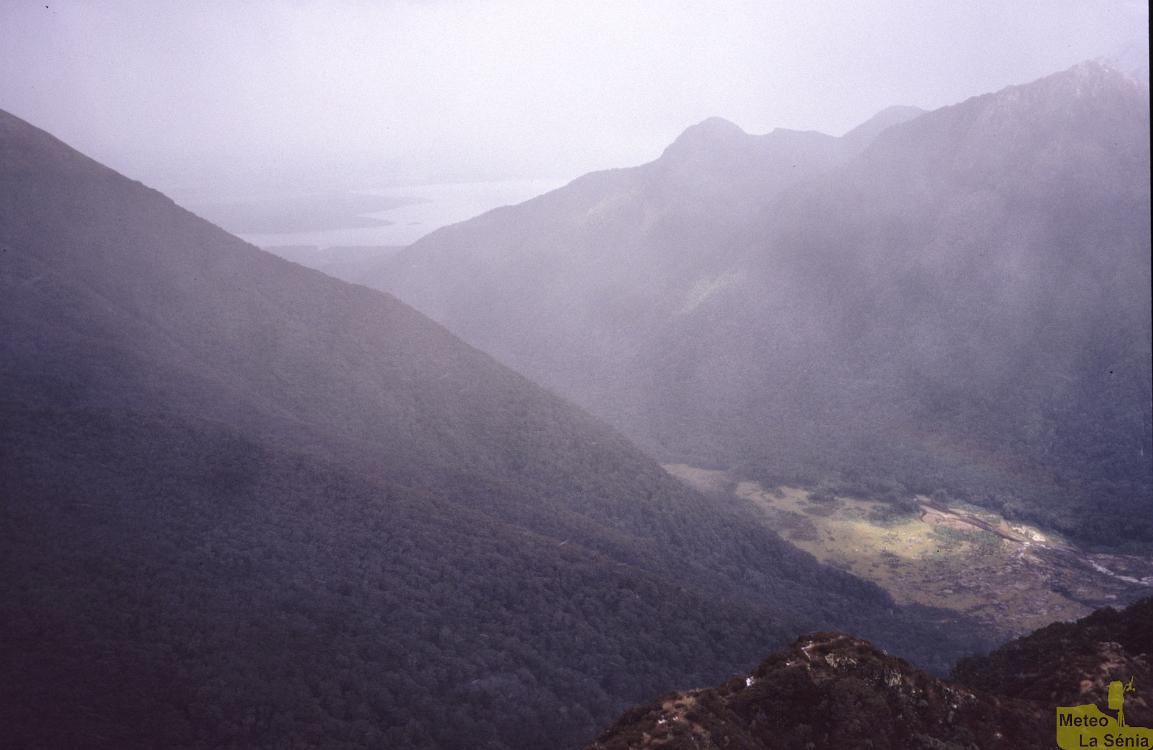 NZ 0661