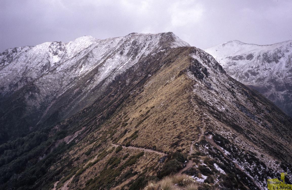 NZ 0662