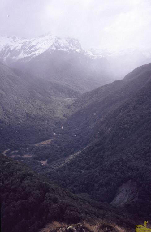 NZ 0663