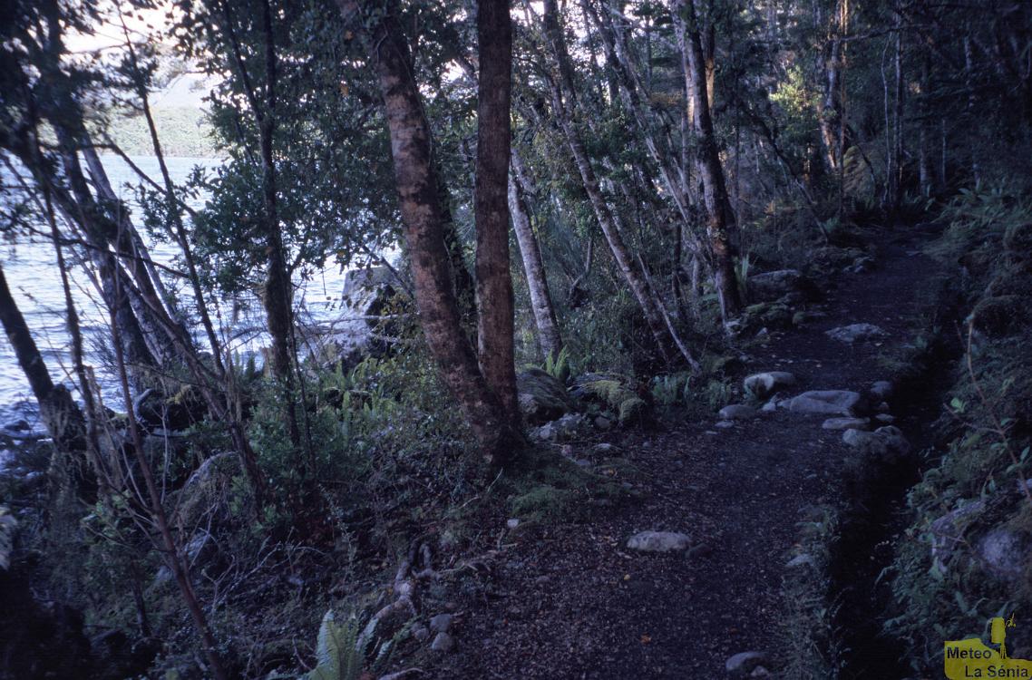 NZ 0680