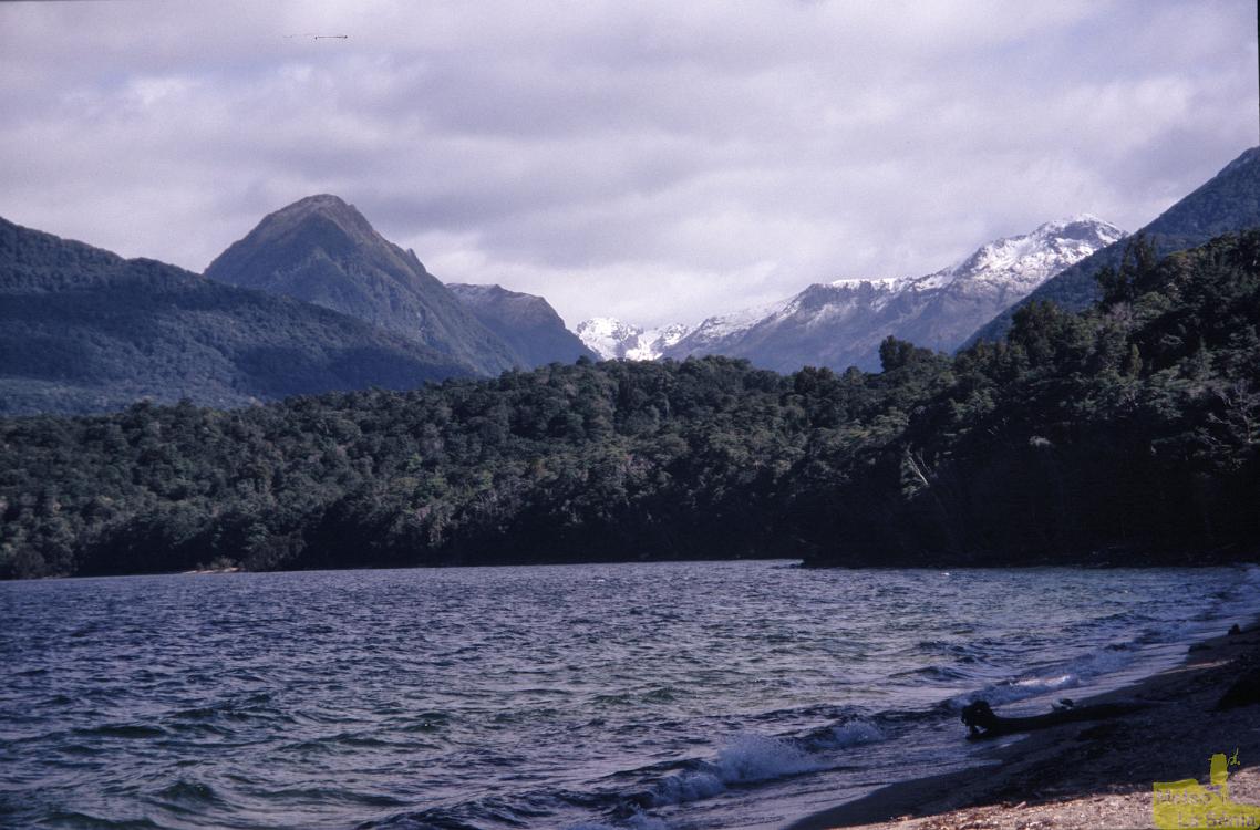 NZ 0687