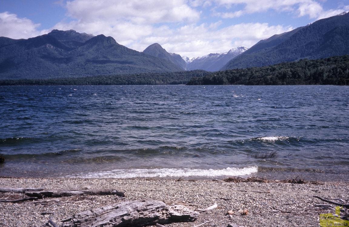 NZ 0689
