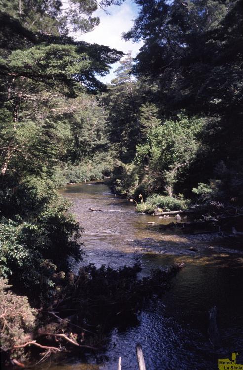 NZ 0699