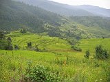 Trekking al Himalaia del Garwal