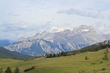 IMG 7439
