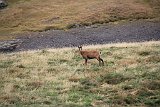 La travessa dels Pirineus per la A.R.P.