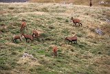 La travessa dels Pirineus per la A.R.P.