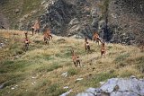 La travessa dels Pirineus per la A.R.P.