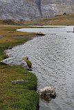 La travessa dels Pirineus per la A.R.P.