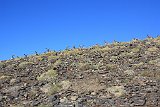 La travessa de Sierra Nevada