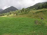 La Travessa del Pirineu pel GR-11