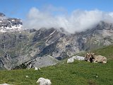 La Travessa del Pirineu pel GR-11