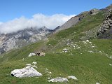 La Travessa del Pirineu pel GR-11