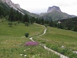 IMG 2753