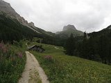 IMG 2755