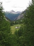 IMG 2758