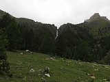 IMG 2761