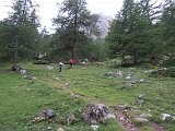 IMG 2764