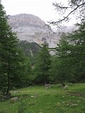 IMG 2765