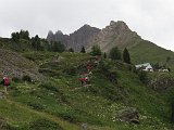 IMG 2769