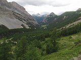 IMG 2771