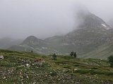 IMG 2784