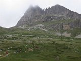 IMG 2788