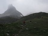 IMG 2789