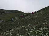 IMG 2792
