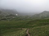 IMG 2793