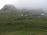 IMG 2794